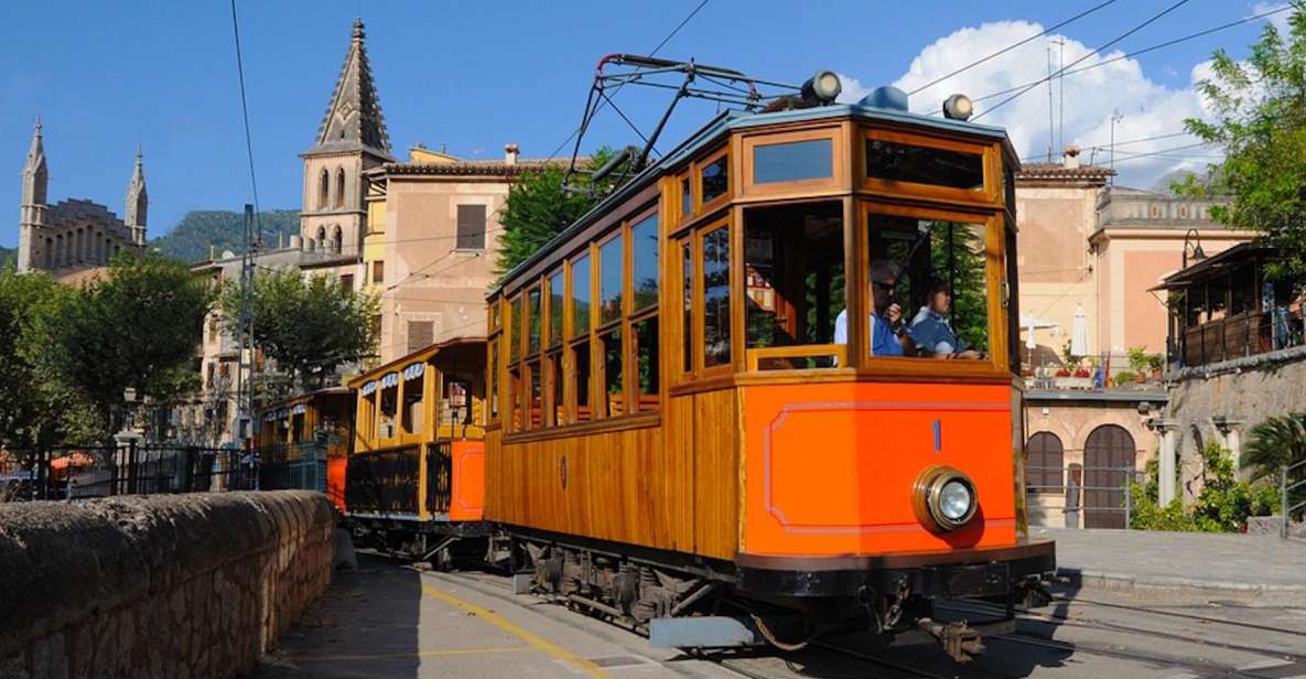 Palma: Tramuntana Full-Day Tour With Sóller Train and Lunch - Exploring Sóller and Port