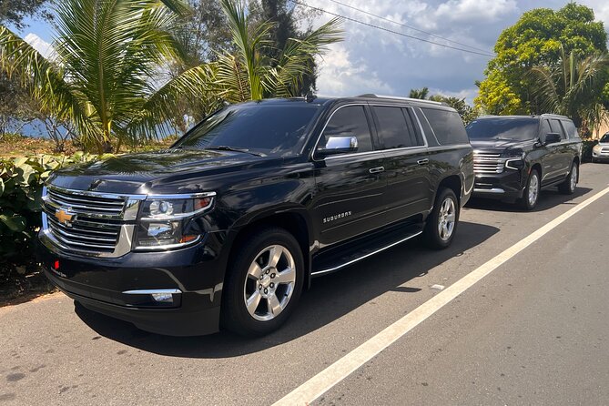 Paradise on Wheels: Suburban Premiere in Punta Cana - Round Trip - Booking Information