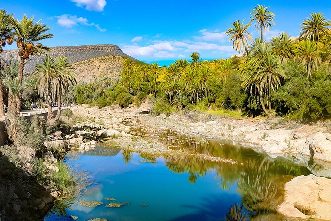 Paradise Valley and Desert Dunes Trip From Agadir & Taghazout - Health and Safety