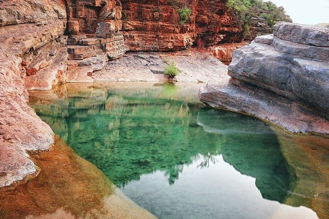 Paradise Valley And Taghazout Private Day Trip - Agadir Botanical Gardens Visit