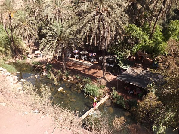 Paradise Valley Half Day From Agadir - Accessibility and Restrictions