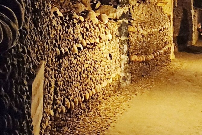 Paris Catacombs Walking Tour And Audio Guided - Ticketing Issues and Recommendations