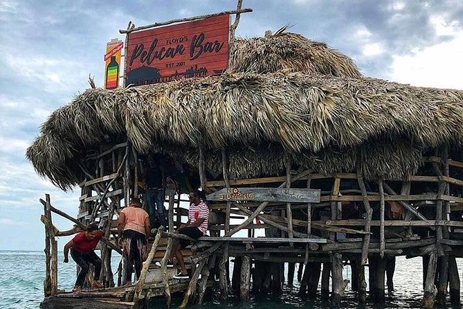 Pelican Bar Private Tour - Customer Reviews