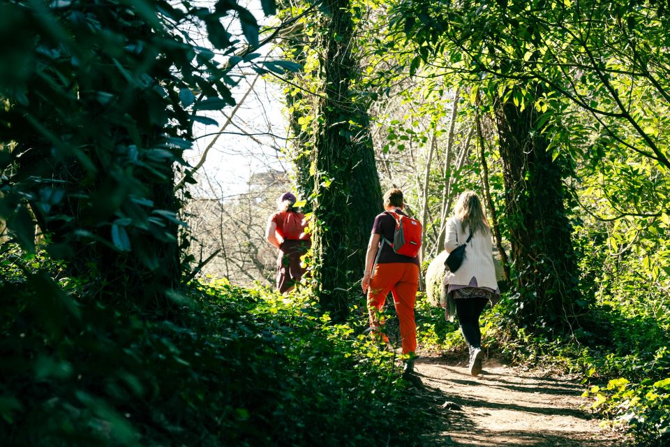 Pena Palace, Moorish Castle,Quinta Ad Regaleira:Walking Tour - Historic Center of Sintra