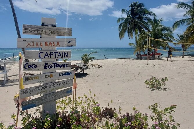 Personalized Premium Catamaran Boat From Punta Cana (Bávaro) - Accessibility and Participation