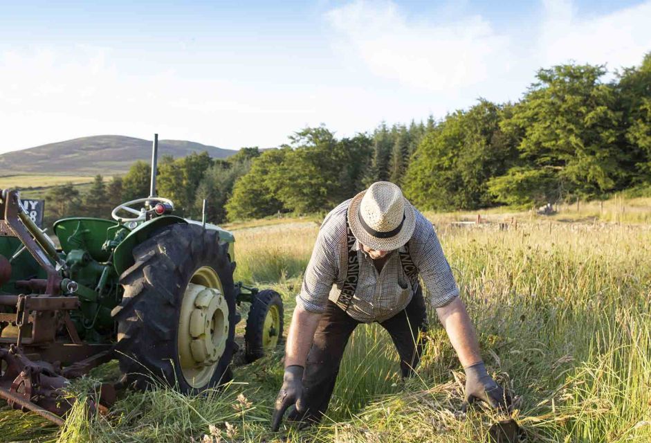 Photography Tour of Carlingford & Surrounding Area - Experience Highlights