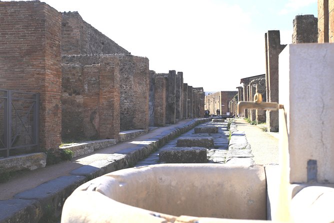 Pompeii and Herculaneum Private Tour With Native Guide and Skip the Line Tickets - Private Tour Highlights