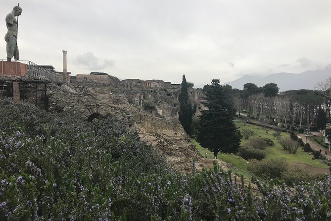 Pompeii Wine Tasting Tour From Positano - Pickup and Meeting Point