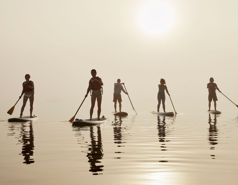 Portland, ME: Guided Harbor Paddleboard Tour - Guided Tour by Maine Guide