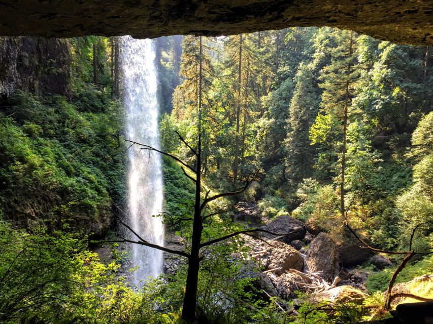 Portland: Silver Falls Hike - Hiking the Trail of 10 Falls