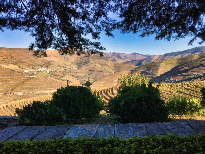 Porto: Douro Valley Tour With 3 Wineries & Lunch - Scenic Douro Valley