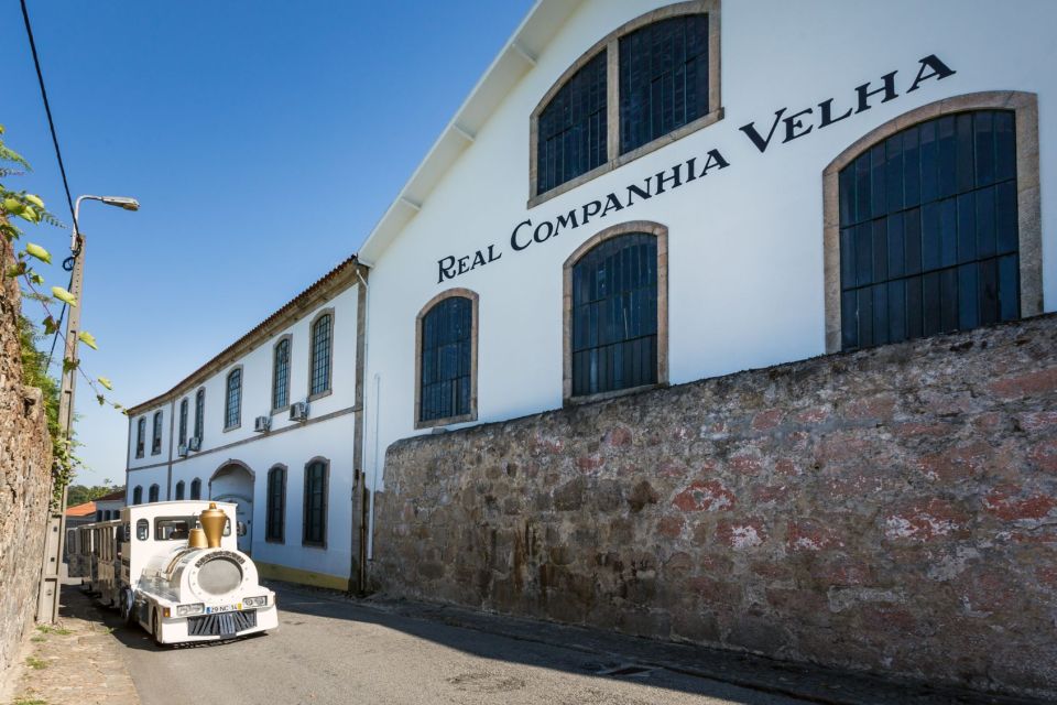 Porto: Old Town Walking Tour + Wine Cellar and Tastings - Included Features