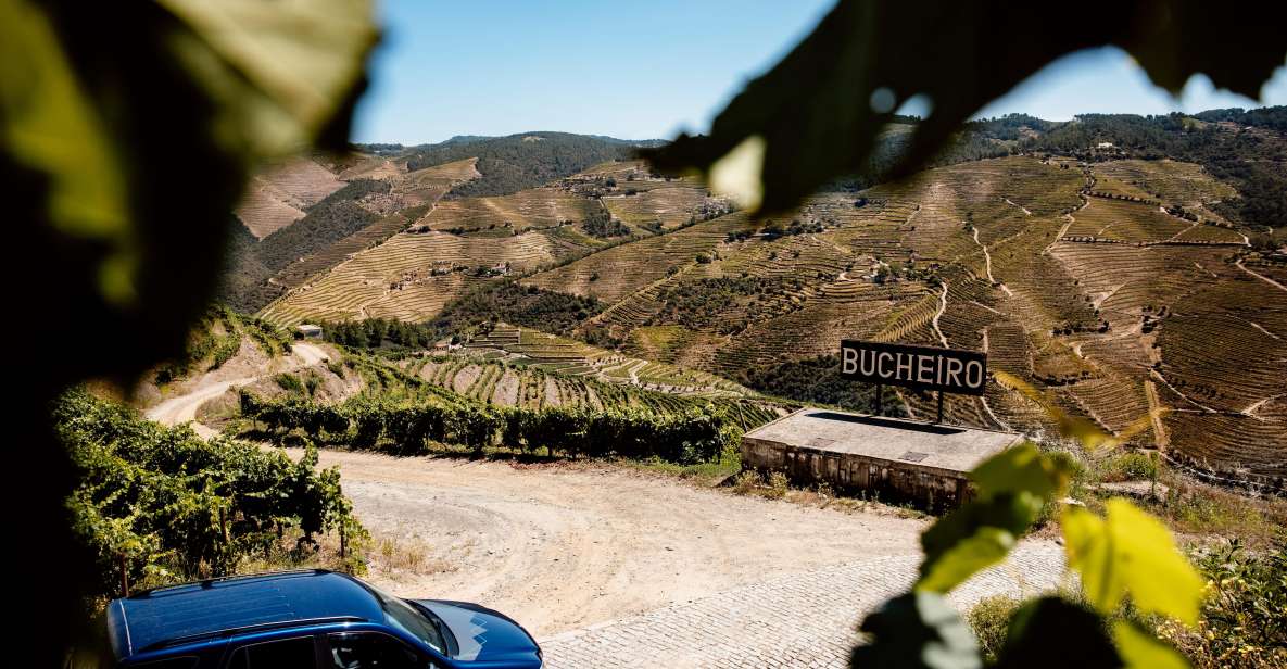 Porto: Private Douro Valley 4x4 Tour With Lunch - Activities Included