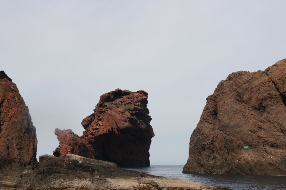 Porto: Scandola Nature Reserve, Gulf of Girolata Boat Tour - Highlights of the Tour