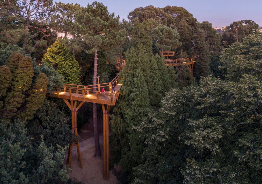 Porto: Serralves Park Entry Ticket - Landscape Gardening History