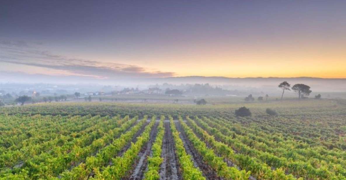 Portugal: Bairrada Private Tour - Thermal Village Exploration