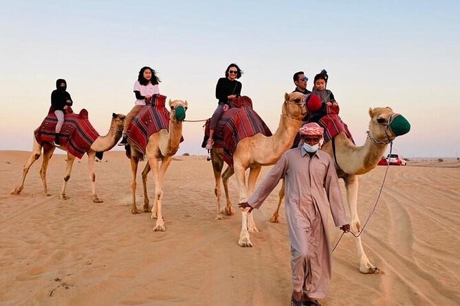 Premium Dubai Red Dunes With Quadbike, Camel Ride and VIP Dinner - Camel Ride