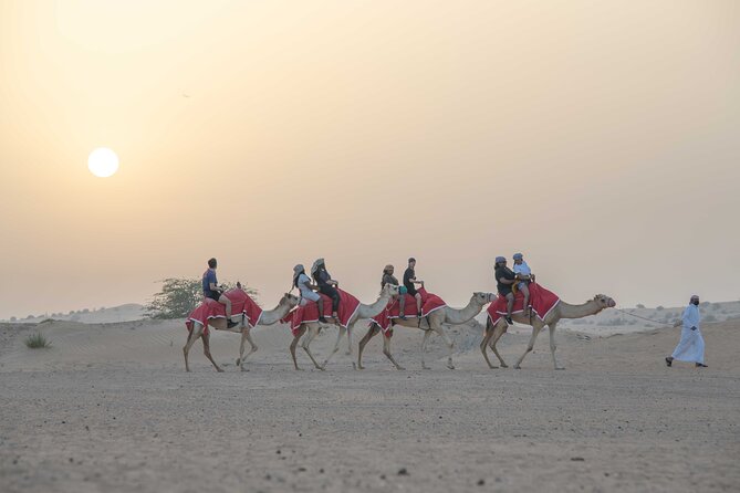 Premium Red Dunes Bashing With Quad Bike, Camel, Falcon &Vip Camp - Captivating Camel Ride