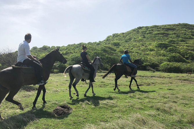 Private Advanced Horseback Beach Ride With Sandy Hoofs St. Lucia - Inclusions: Bottled Water and Guide