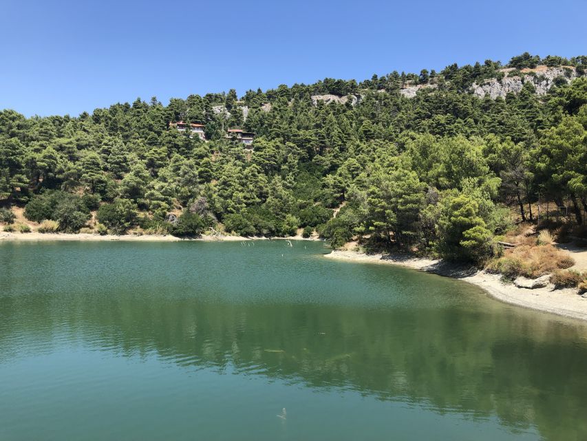 Private Athens Escape in Parnitha Mountain Park - Nature Exploration