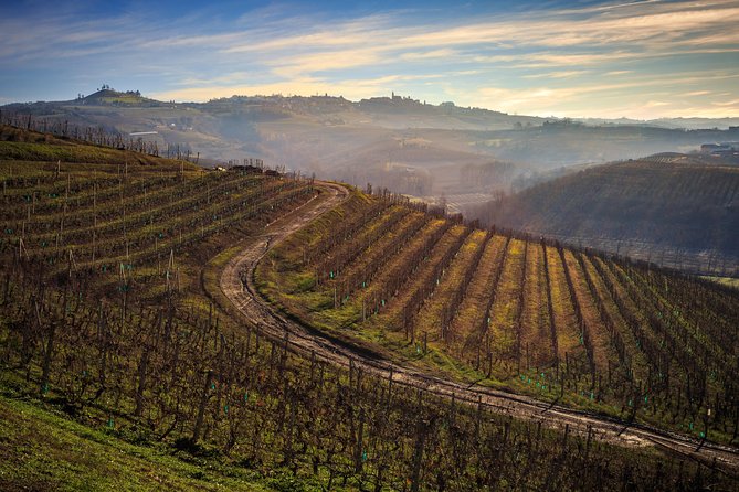 Private Barolo / Barbaresco - Piedmont Wine Tours and Tastings - Additional Information