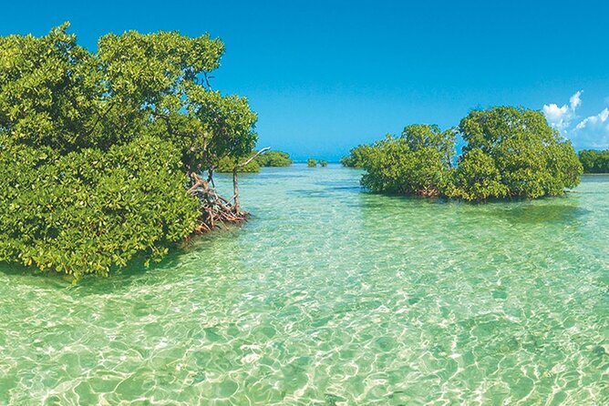 Private Boat Trip With Guide on the Most Beautiful Lagoon of Guadeloupe - Snorkeling in the Lagoon