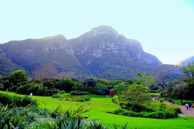 Private Cape Peninsula + Kirstenbosch Garden Full Day Guided Tour - Additional Information