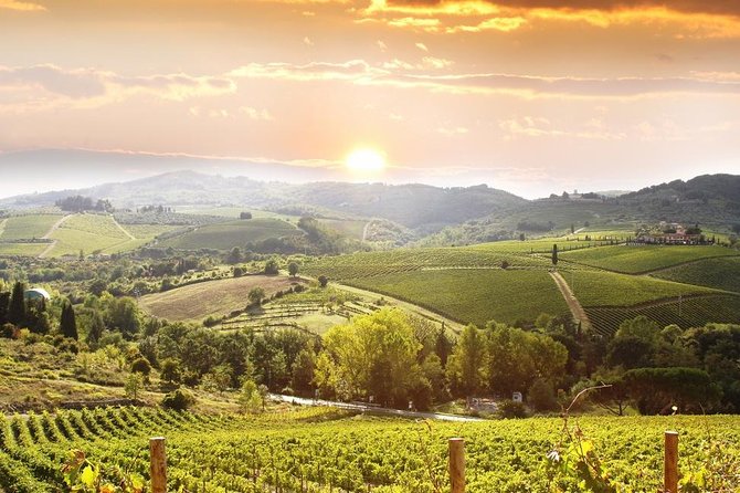 Private Chianti Wine Tour Leaving From Florence - Pricing