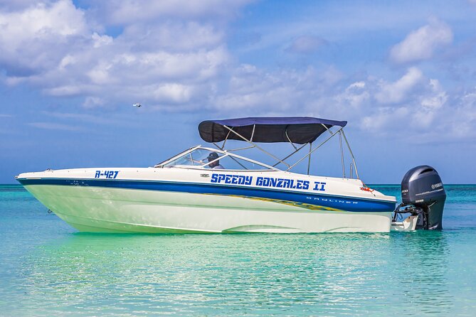 Private Cruise Along Aruba Coastline With Snorkeling - Snorkeling at Popular Sites