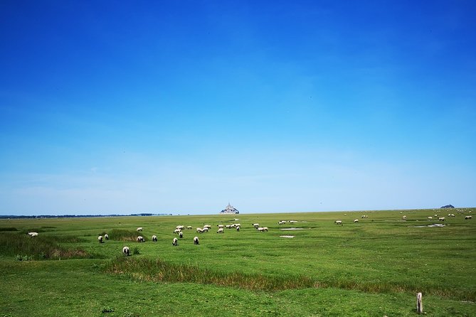 Private Day Tour of Mont Saint-Michel From Bayeux - Visiting Additional Normandy Sites