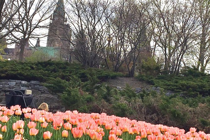 Private Day Tour OTTAWA Tulip Festival May 10-20 From MONTREAL - Policies