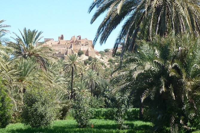 Private Day Trip of Taroudant & Tiout From Agadir - Included and Excluded Services