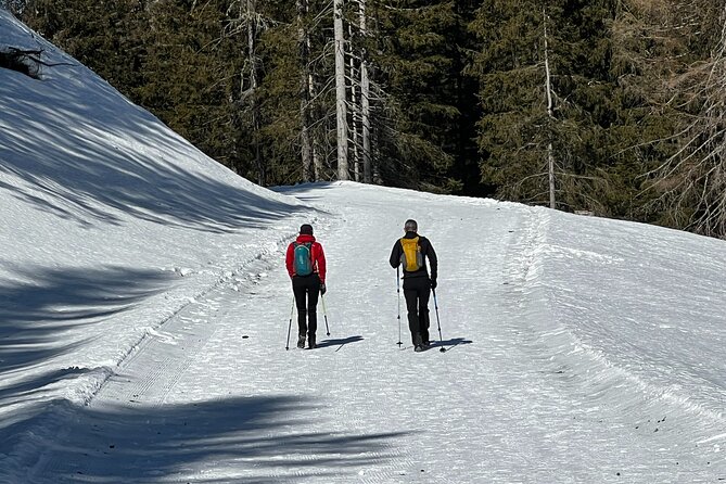 Private Dolomites Winter Day Tour From Venice - Included Services