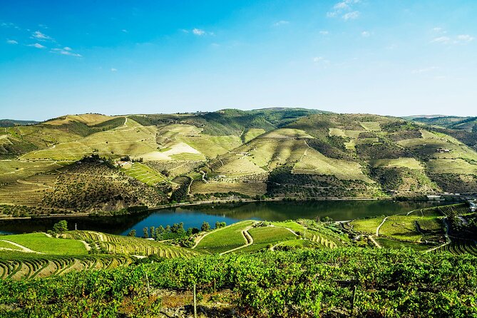 Private Douro Valley Tour Including 3 Wineries - Weather and Activity Details