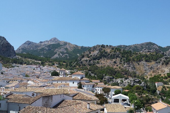 Private Guided Day Trip to the White Villages and Ronda - Tour Highlights