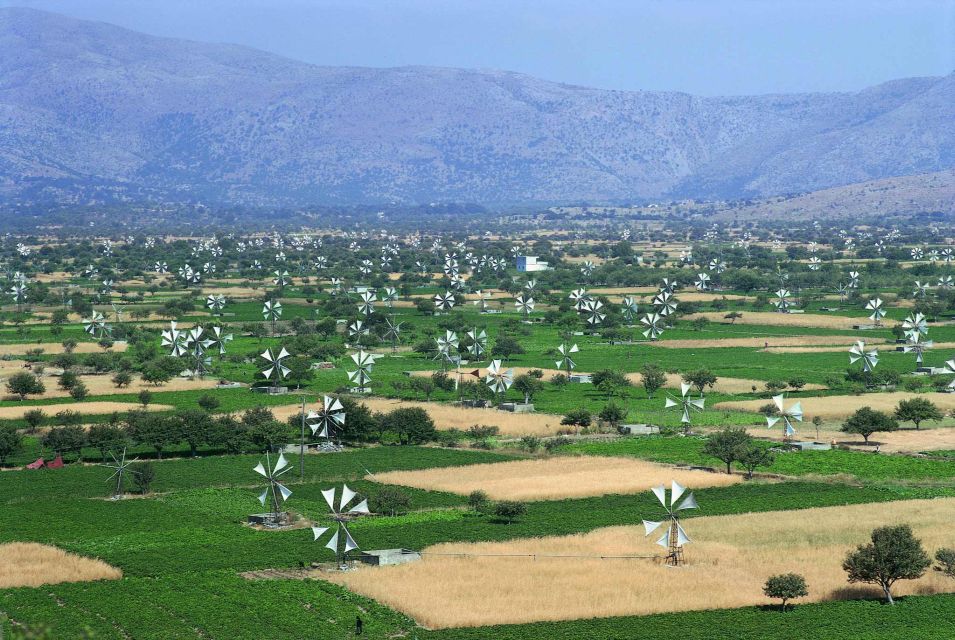 Private Guided Jeep Tour, Zeus Cave, Lasithi Plateau Half D - Tour Highlights