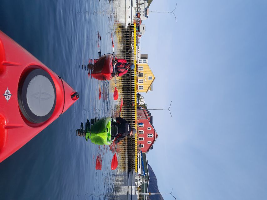 Private: Guided Kayak Tour in Siglufjörður. - Discovering Ruins and Shipwrecks