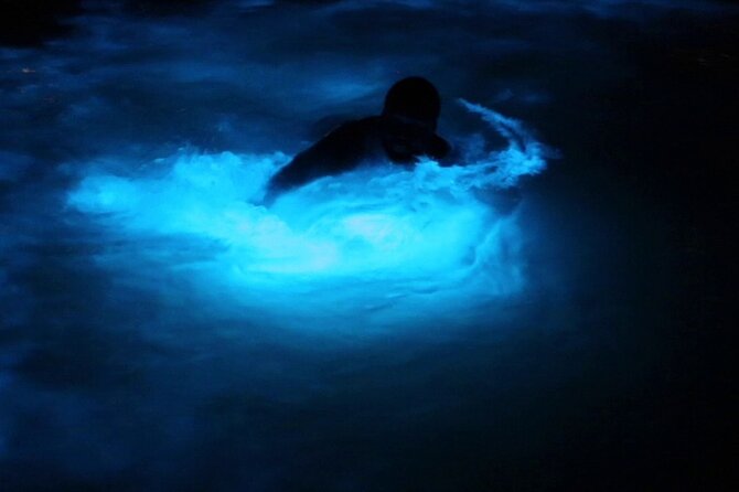 Private Guided Night Tour of Luminous Lagoon in Montego Bay - What to Expect