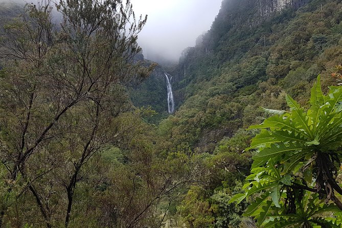 Private Guided Walk Levada 25 Fountains - Included and Not Included