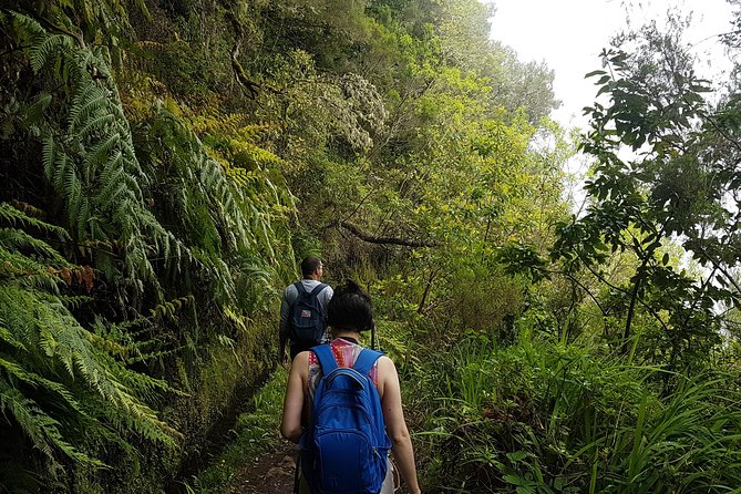 Private Guided Walk Levada Caldeirao Verde - Additional Information