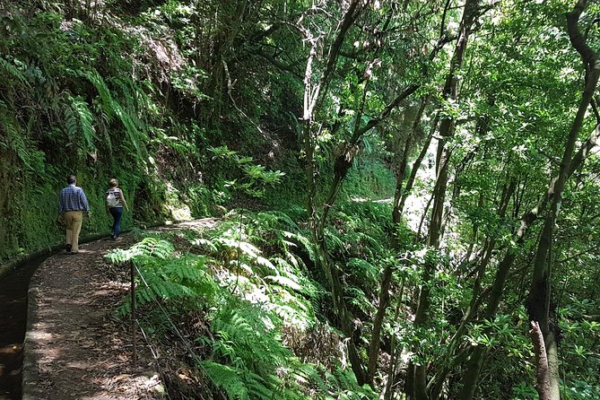 Private Guided Walk Levada Do Rei - Scenery and Landscape