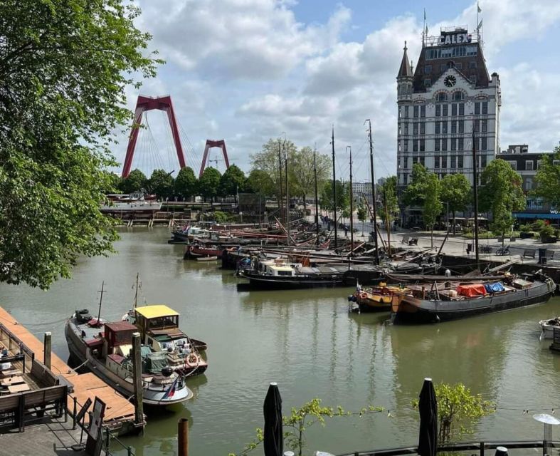 Private Half-Day Delft and Rotterdam Tour - Language and Accessibility