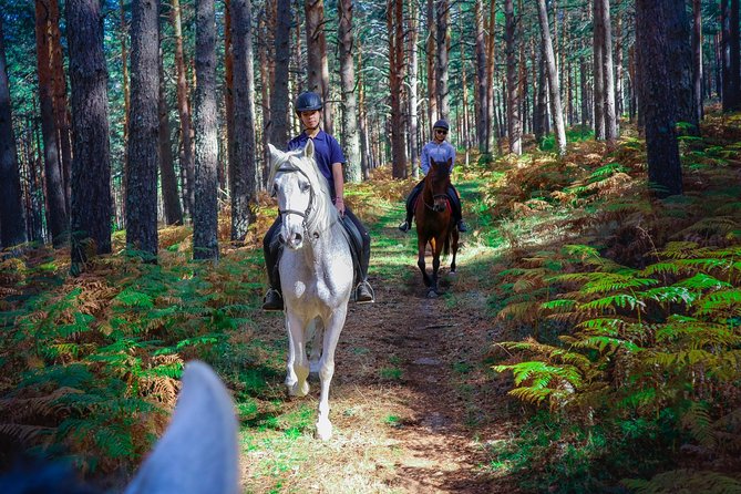 Private Horse Ride in Madrid Natural Park Reserve - Meeting and Pickup Details