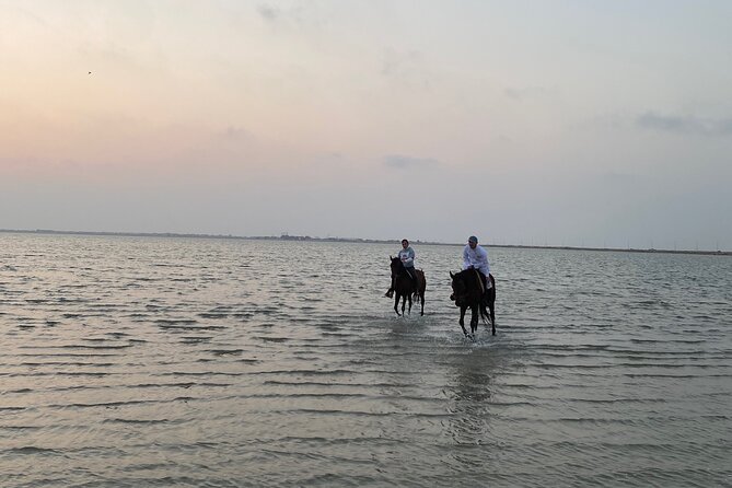 Private Horse Riding Experience at Red Sea - Participant Accessibility and Recommendations