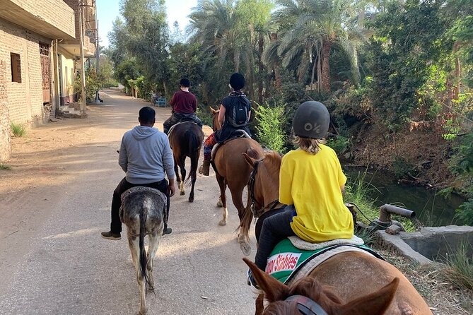 Private Horse Riding Tour in Luxor West Bank - Meeting and Pickup