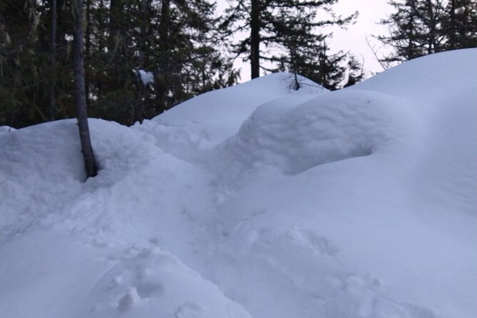 Private Horseshoe Valley Snowshoe/Crampons (Barrie/Moonstone) - Duration and Difficulty Level