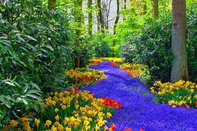 Private Keukenhof Tulip Fields Tour From Amsterdam - Tour Schedule