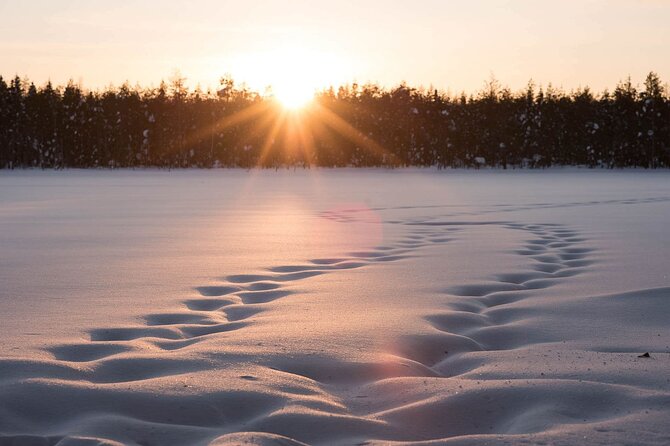 Private Lappish Evening in the Wilderness With Traditional Sauna and Dinner - Participant Recommendations