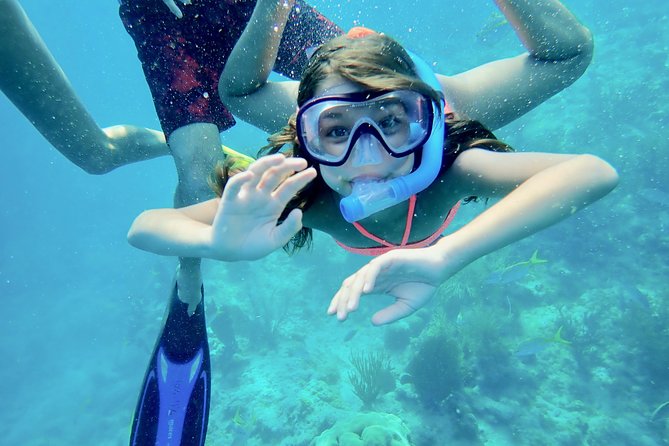 Private Looe Key Snorkel From Big Pine Key - Meeting and Pickup