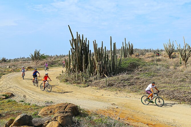 Private Mountain Bike Tour in Aruba - Sights and Attractions